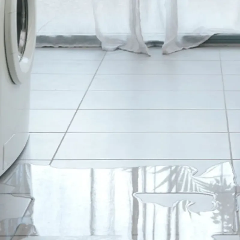 Appliance Leak Cleanup in Cave City, AR